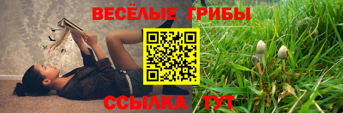 Родники  Псилоцибиновые грибы Psilocybe  Псилоцибиновые грибы Cubensis  Вход с VPN 